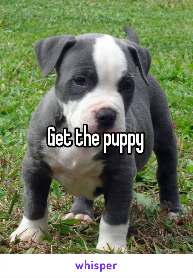 Get the puppy 