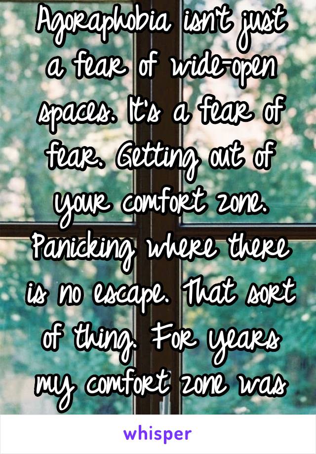 Agoraphobia isn't just a fear of wide-open spaces. It's a fear of fear. Getting out of your comfort zone. Panicking where there is no escape. That sort of thing. For years my comfort zone was my room.