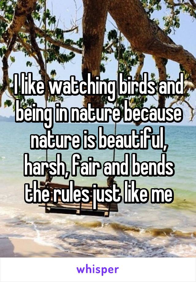 I like watching birds and being in nature because nature is beautiful, harsh, fair and bends the rules just like me