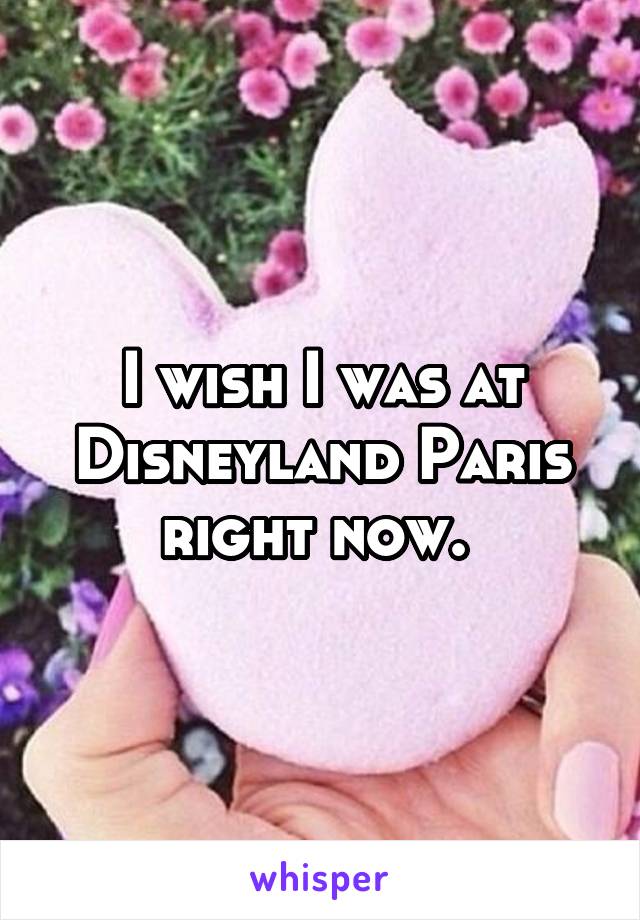 I wish I was at Disneyland Paris right now. 