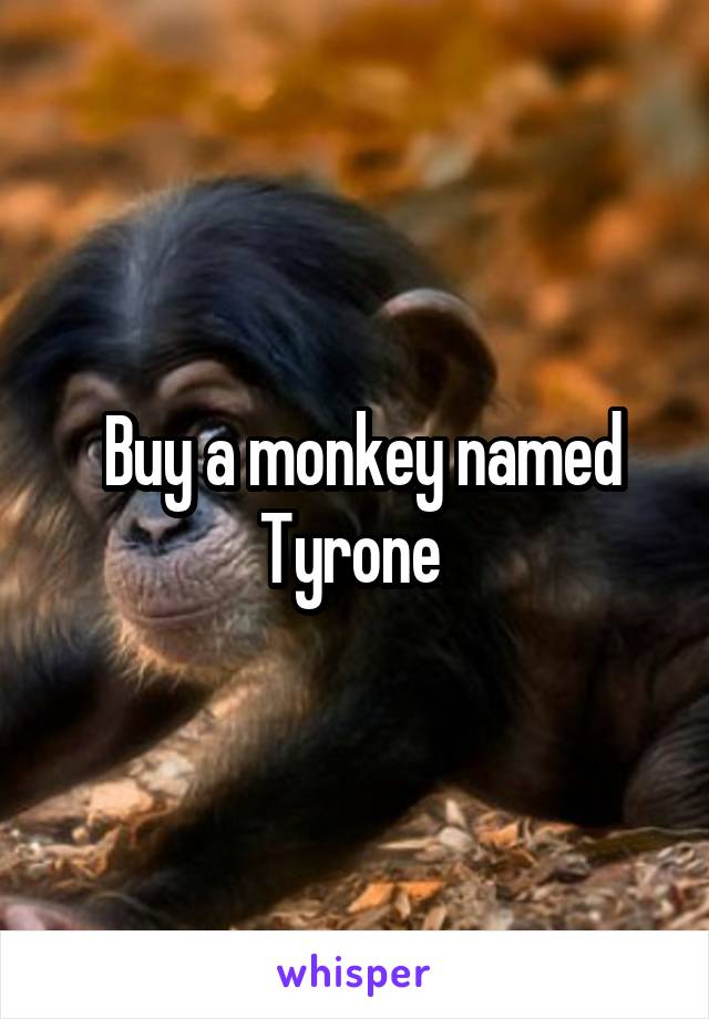  Buy a monkey named Tyrone 