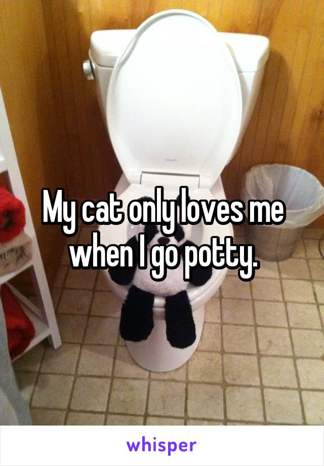 My cat only loves me when I go potty.