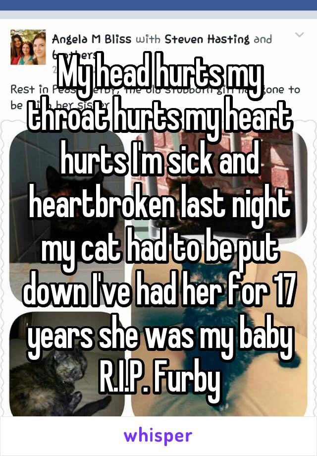 My head hurts my throat hurts my heart hurts I'm sick and heartbroken last night my cat had to be put down I've had her for 17 years she was my baby R.I.P. Furby