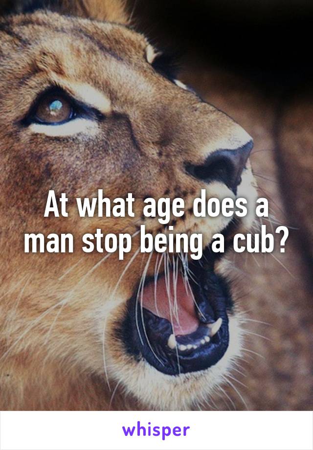 At what age does a man stop being a cub?