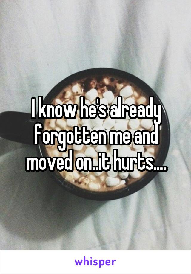 I know he's already forgotten me and moved on..it hurts....