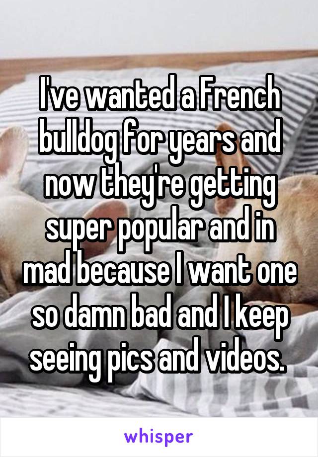 I've wanted a French bulldog for years and now they're getting super popular and in mad because I want one so damn bad and I keep seeing pics and videos. 