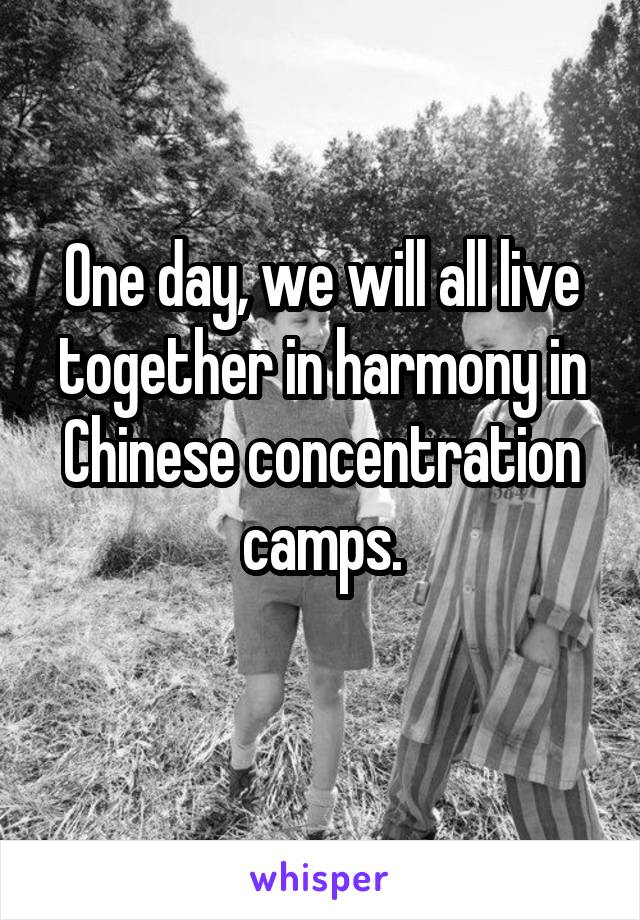 One day, we will all live together in harmony in Chinese concentration camps.
