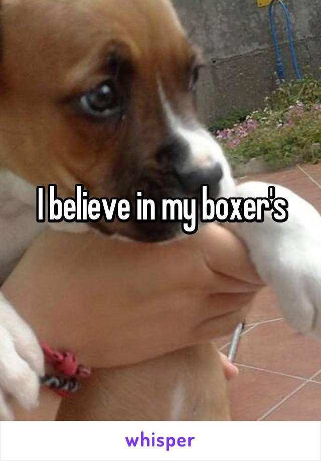 I believe in my boxer's
