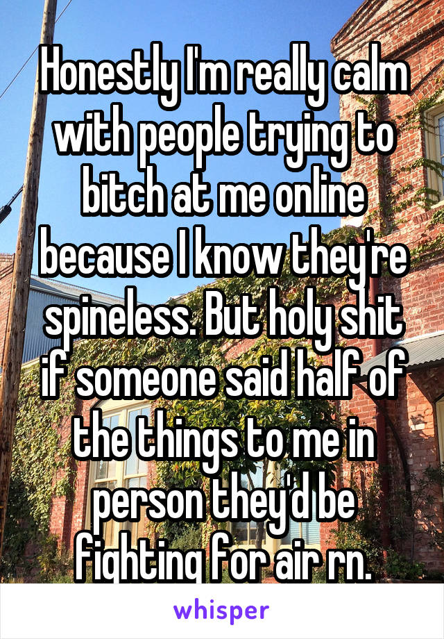 Honestly I'm really calm with people trying to bitch at me online because I know they're spineless. But holy shit if someone said half of the things to me in person they'd be fighting for air rn.