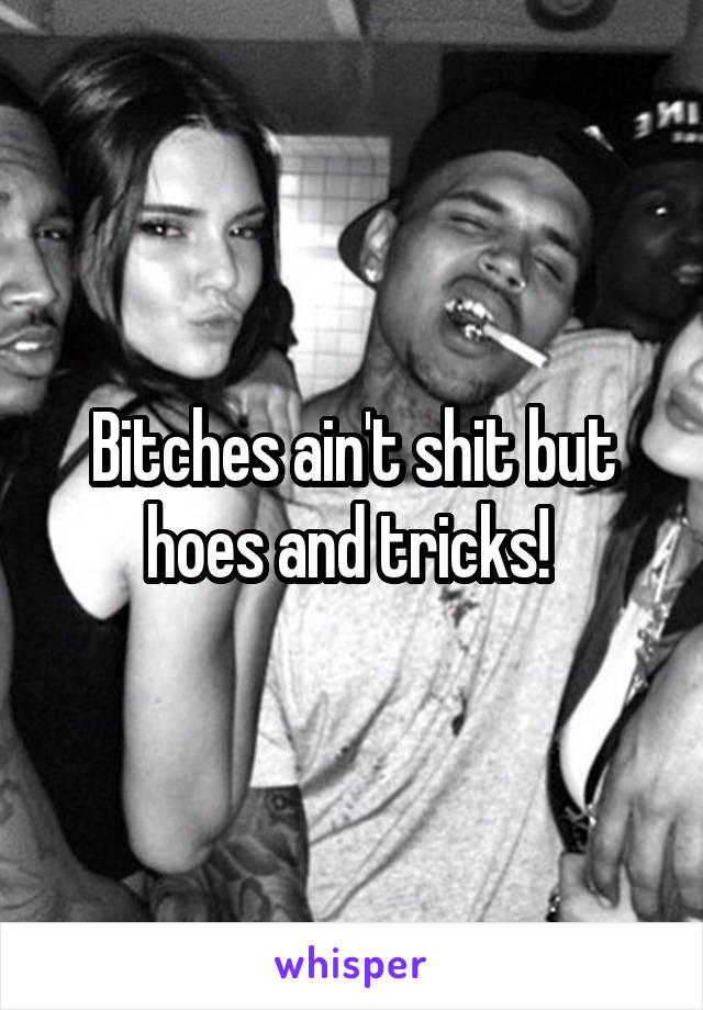 Bitches ain't shit but hoes and tricks! 