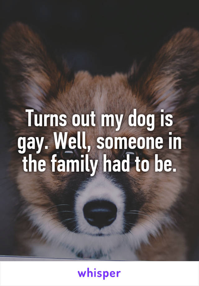 Turns out my dog is gay. Well, someone in the family had to be.