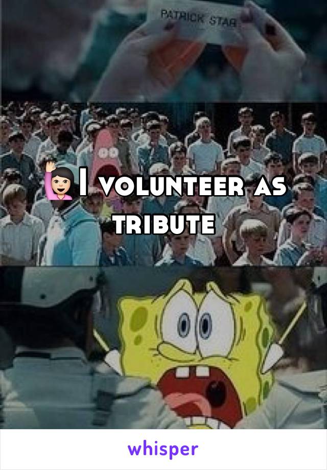 🙋🏻I volunteer as tribute