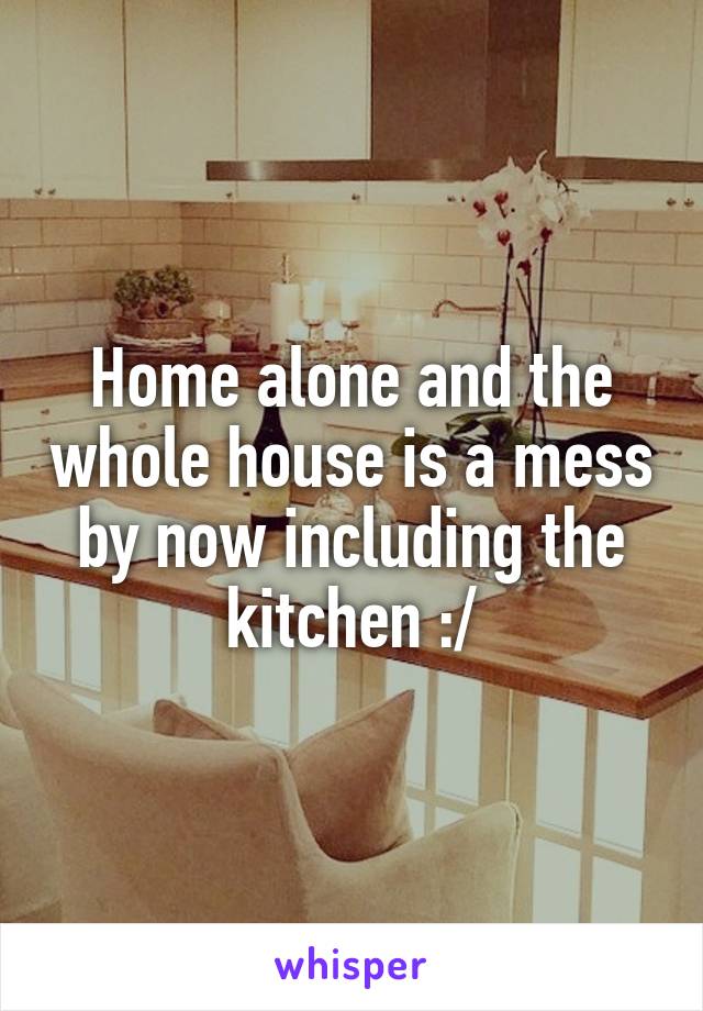 Home alone and the whole house is a mess by now including the kitchen :/