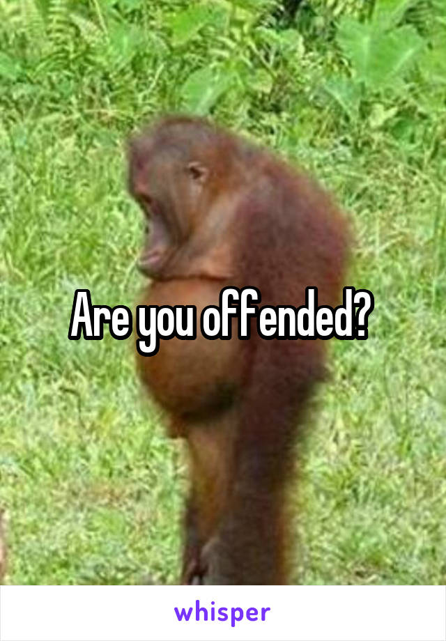 Are you offended? 