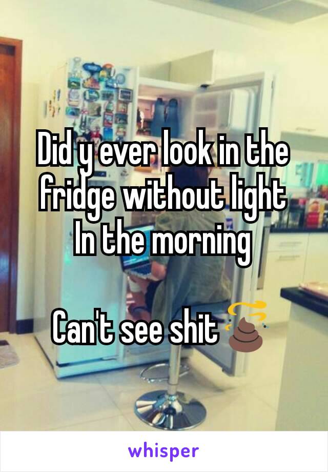 Did y ever look in the fridge without light
In the morning

Can't see shit💩