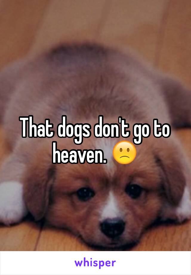 That dogs don't go to heaven. 🙁