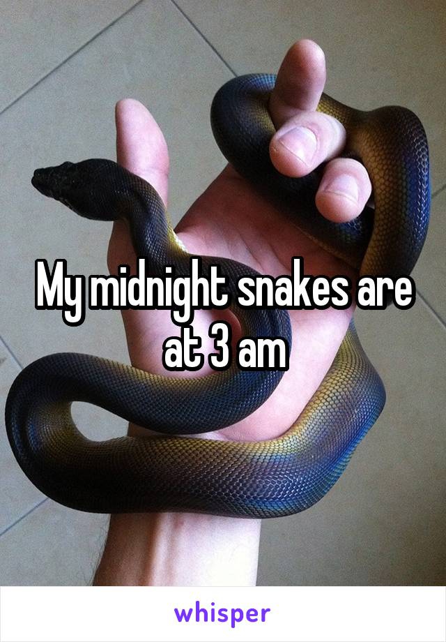 My midnight snakes are at 3 am