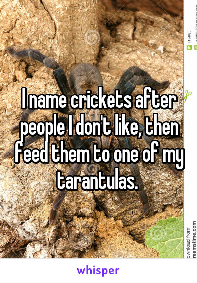 I name crickets after people I don't like, then feed them to one of my tarantulas. 