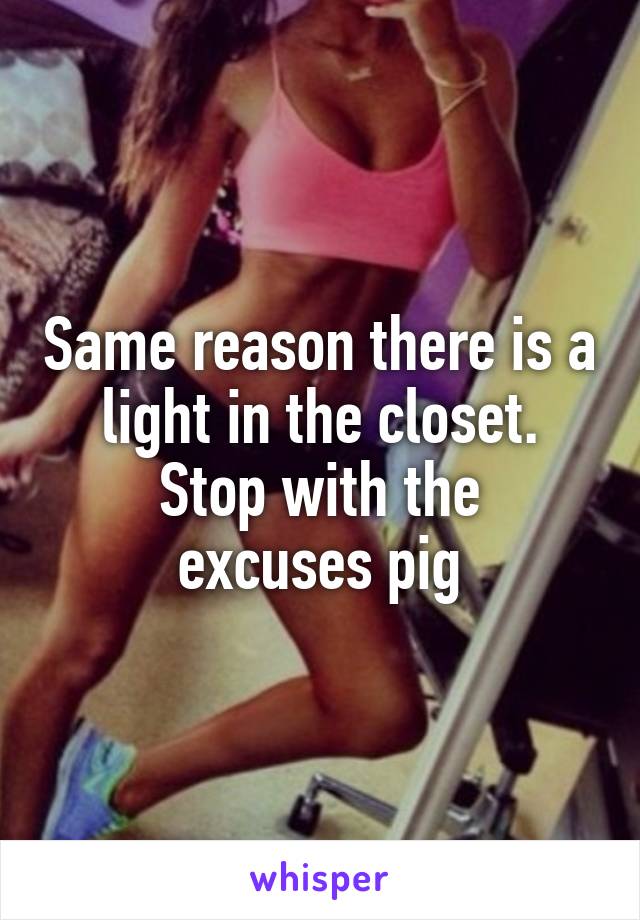 Same reason there is a light in the closet.
Stop with the excuses pig