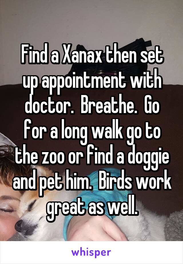 Find a Xanax then set up appointment with doctor.  Breathe.  Go for a long walk go to the zoo or find a doggie and pet him.  Birds work great as well.
