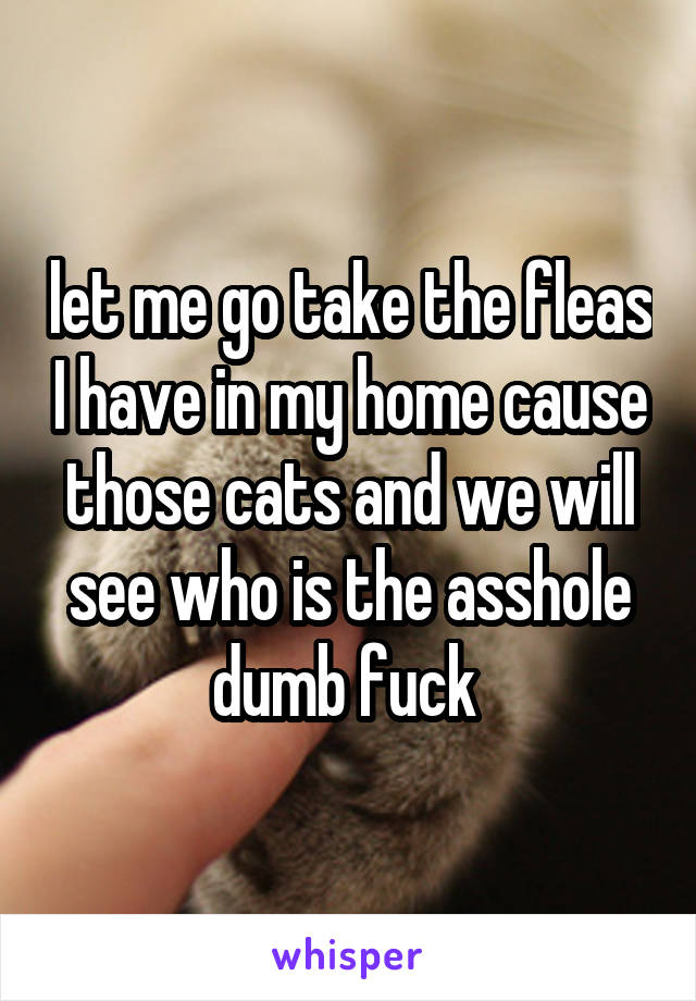 let me go take the fleas I have in my home cause those cats and we will see who is the asshole dumb fuck 