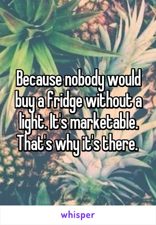 Because nobody would buy a fridge without a light. It's marketable. That's why it's there. 