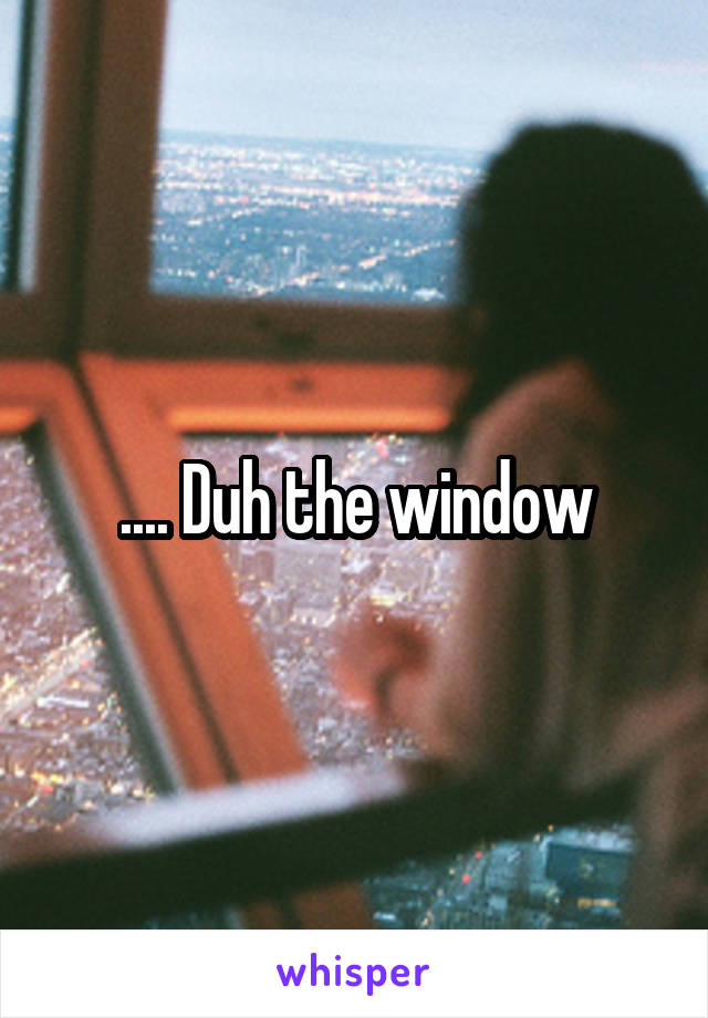 .... Duh the window