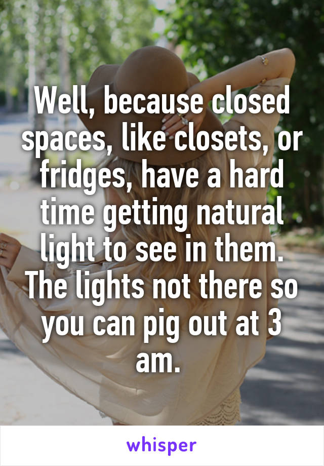 Well, because closed spaces, like closets, or fridges, have a hard time getting natural light to see in them. The lights not there so you can pig out at 3 am. 