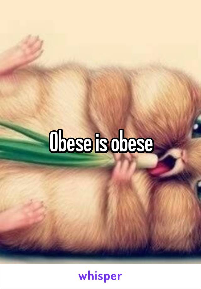 Obese is obese