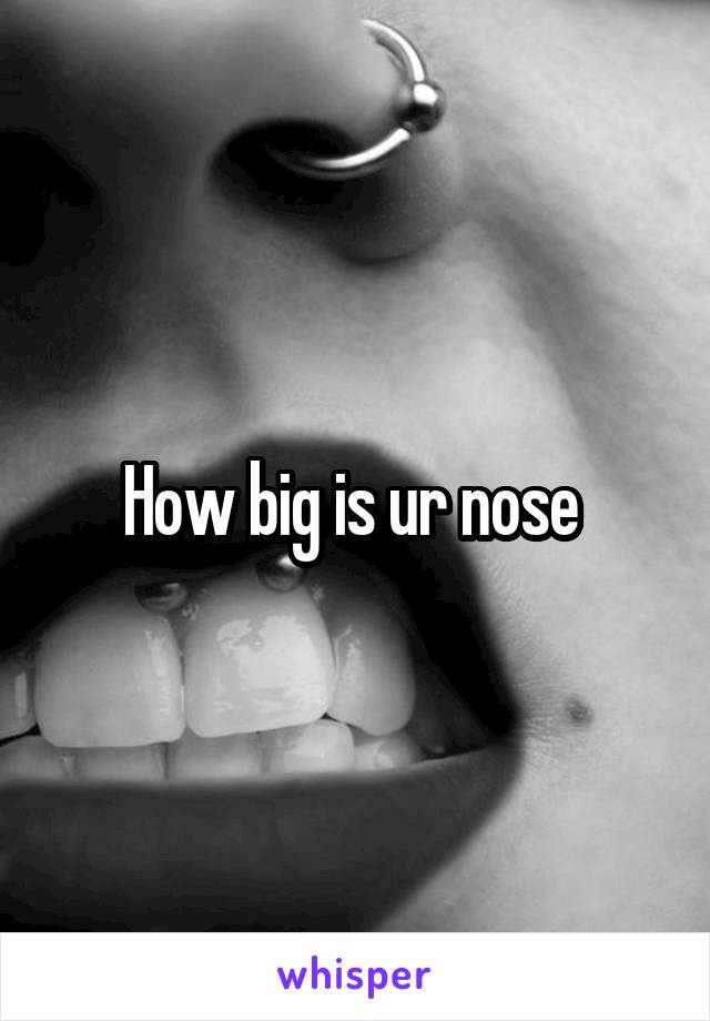 How big is ur nose 