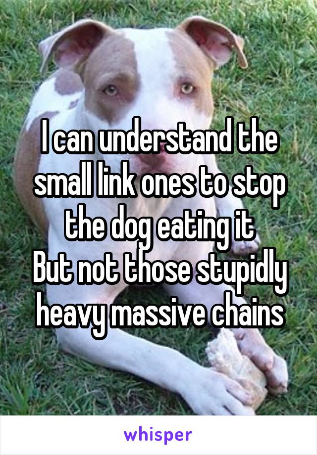 I can understand the small link ones to stop the dog eating it
But not those stupidly heavy massive chains