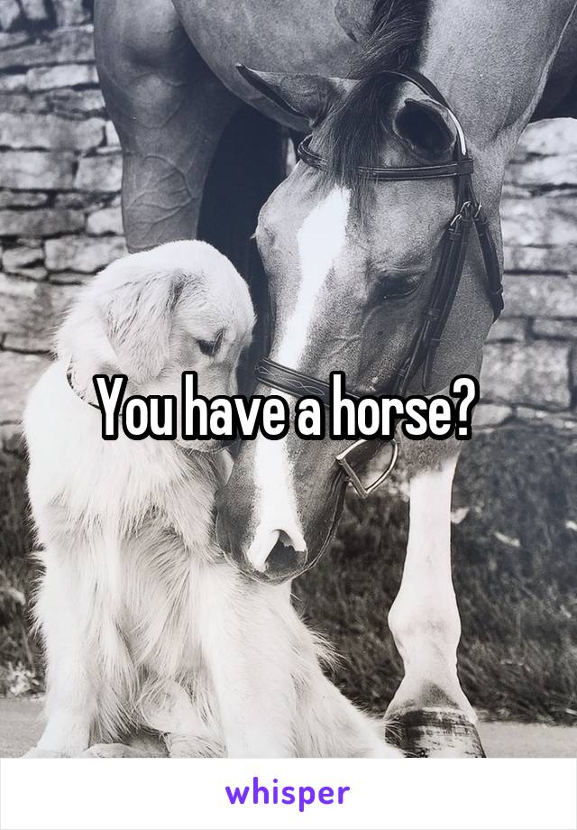 You have a horse? 