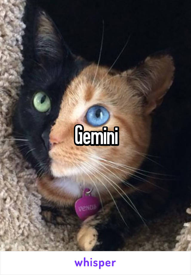 Gemini