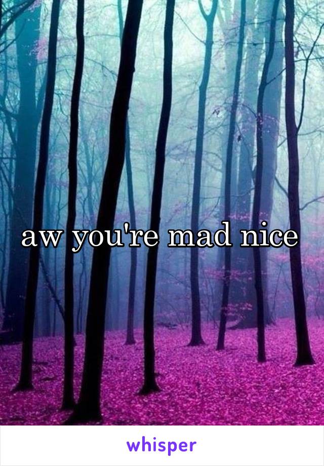 aw you're mad nice 