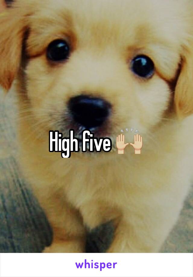 High five 🙌🏼