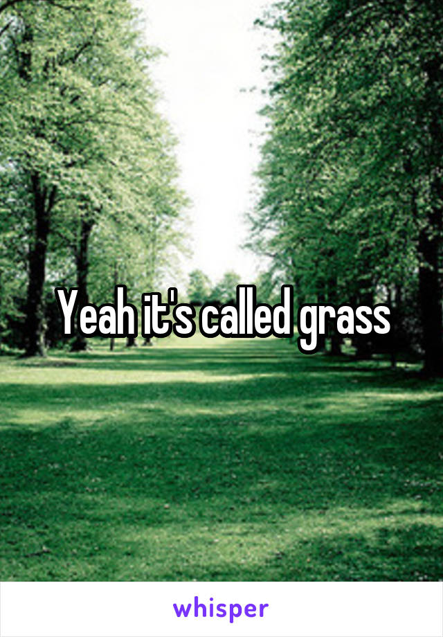 Yeah it's called grass