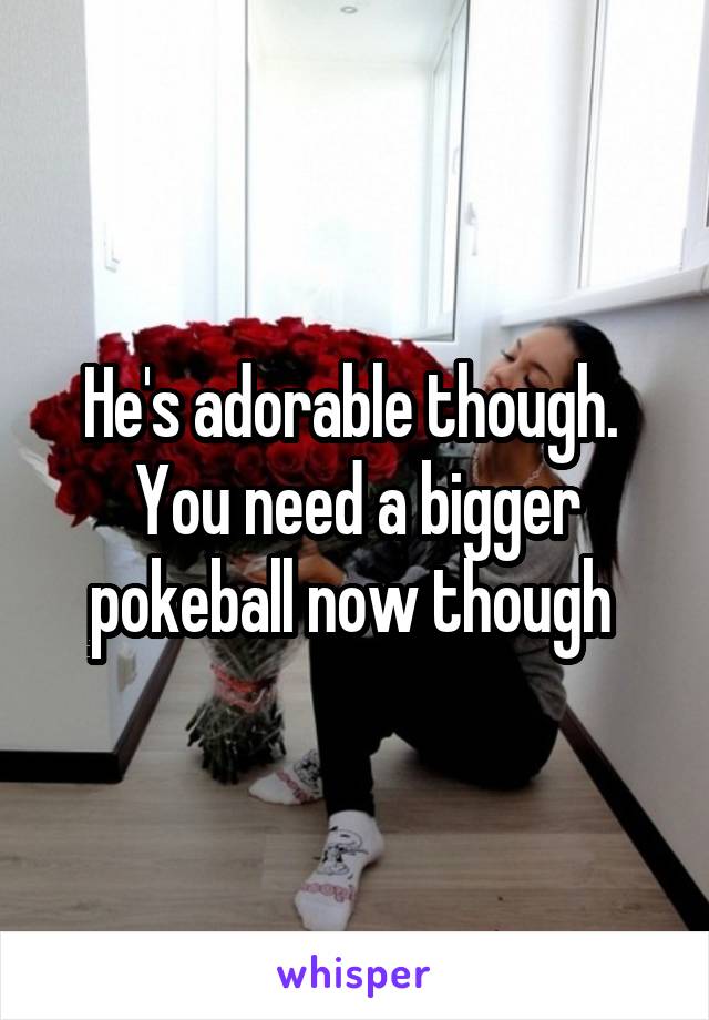 He's adorable though.  You need a bigger pokeball now though 