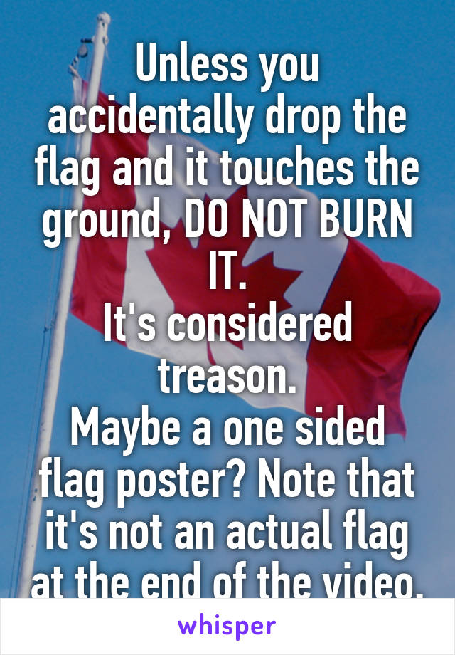 Unless you accidentally drop the flag and it touches the ground, DO NOT BURN IT.
It's considered treason.
Maybe a one sided flag poster? Note that it's not an actual flag at the end of the video.