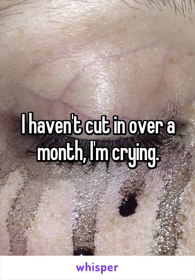 I haven't cut in over a month, I'm crying.