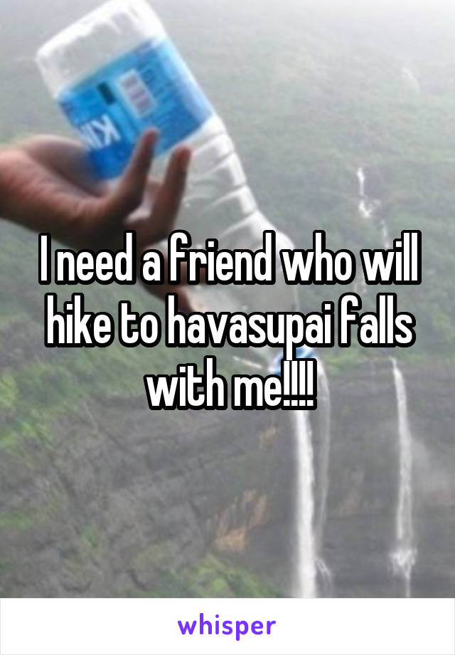 I need a friend who will hike to havasupai falls with me!!!!