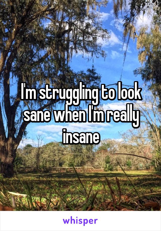 I'm struggling to look sane when I'm really insane