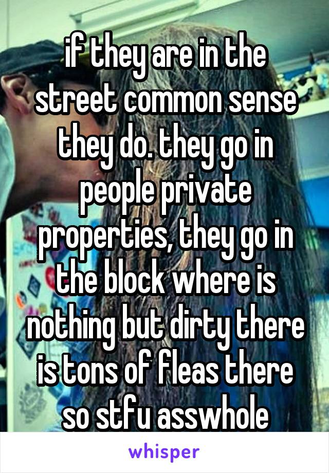 if they are in the street common sense they do. they go in people private properties, they go in the block where is nothing but dirty there is tons of fleas there so stfu asswhole