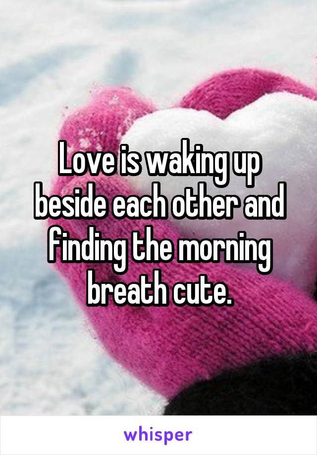 Love is waking up beside each other and finding the morning breath cute.