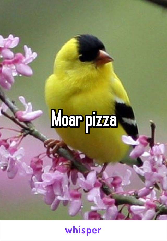 Moar pizza
