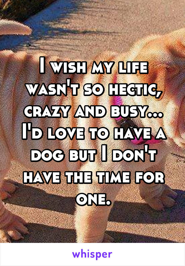 I wish my life wasn't so hectic, crazy and busy... I'd love to have a dog but I don't have the time for one.