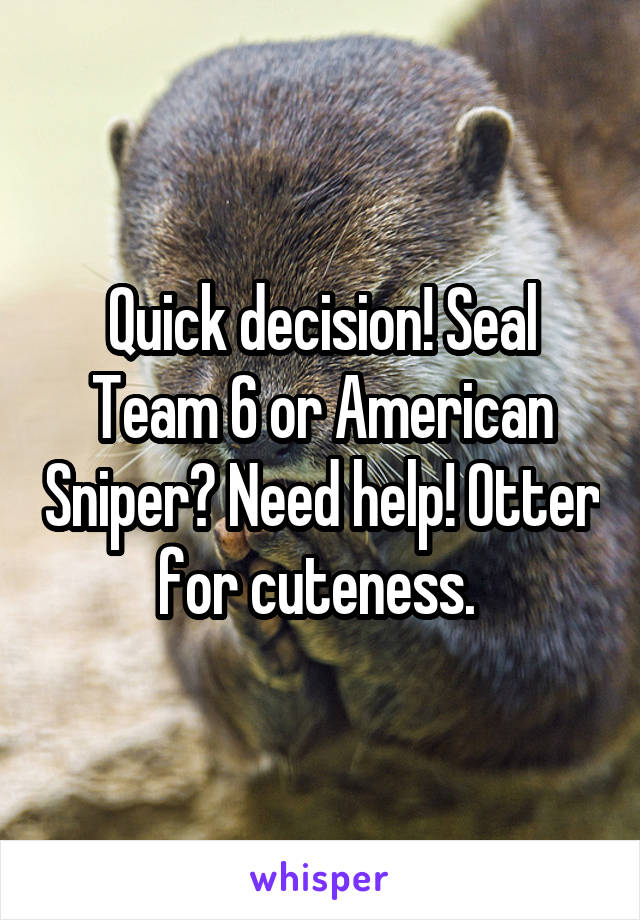 Quick decision! Seal Team 6 or American Sniper? Need help! Otter for cuteness. 