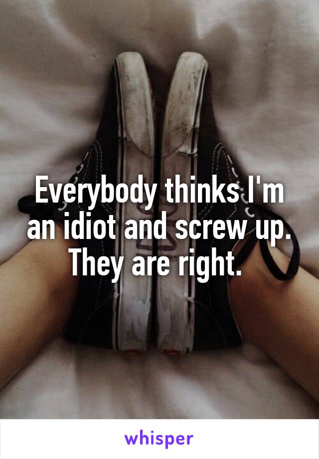 Everybody thinks I'm an idiot and screw up. They are right. 