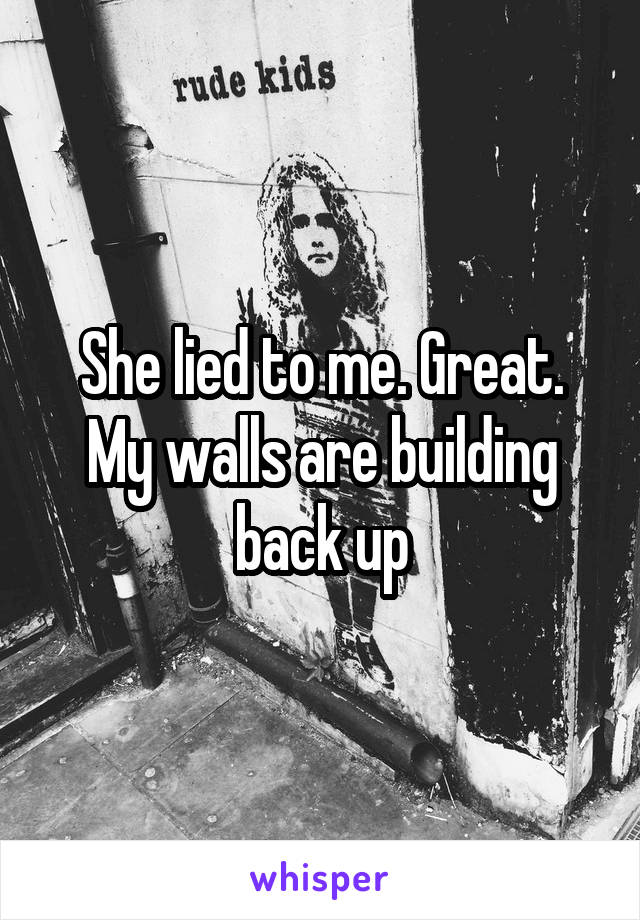 She lied to me. Great. My walls are building back up