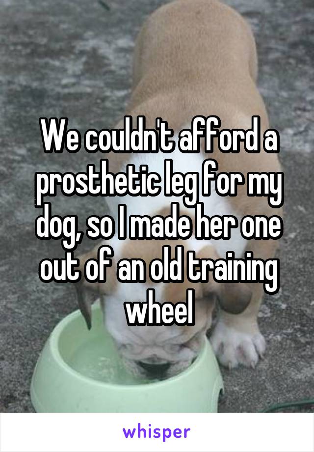 We couldn't afford a prosthetic leg for my dog, so I made her one out of an old training wheel