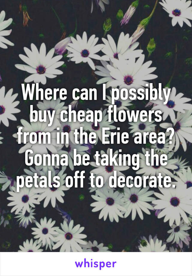 Where can I possibly buy cheap flowers from in the Erie area? Gonna be taking the petals off to decorate.